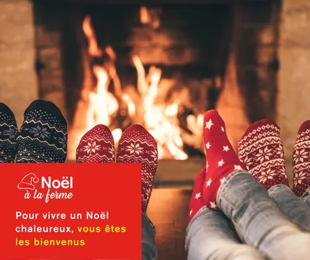 Coup d'envoi de "Noël à la ferme" dans la région