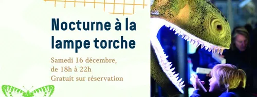 Une nocturne à la lampe torche au Musée d'Histoire Naturelle de Lille