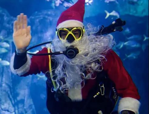 Le Père Noël de retour à Nausicaa !