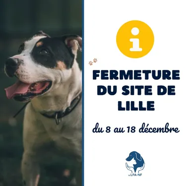 La LPA de Lille fermée jusqu'au 18 décembre