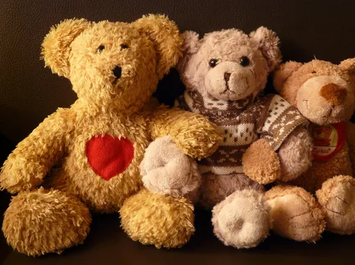 Un vide-greniers éphémère et solidaire installé à Lille