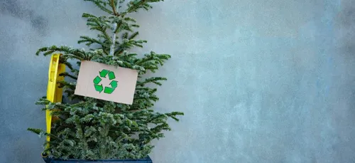 Où jeter son sapin dans la région ?