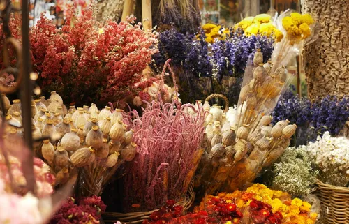 Grande vente de fleurs séchées tout le week-end au Grand Playground