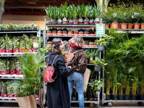 Les idées de sorties du week-end dans la région