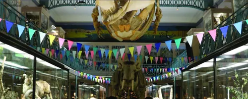 Week-end de fête pour la clôture du musée d'histoire naturelle de...