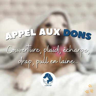 La LPA a besoin de vos pulls en laine ou écharpes