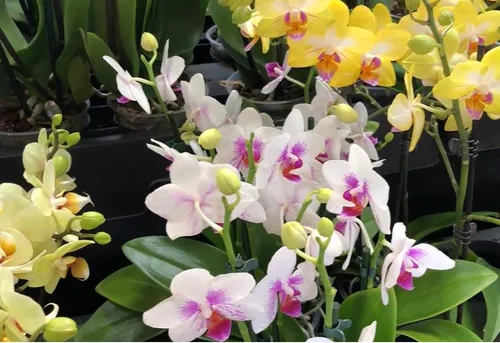 Les idées de sorties du week-end dans la région