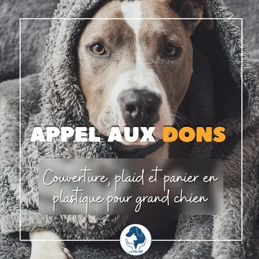 Nouvel appel aux dons de la LPA