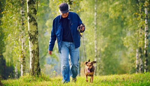 Lille, la meilleure ville pour vivre avec son chien ?