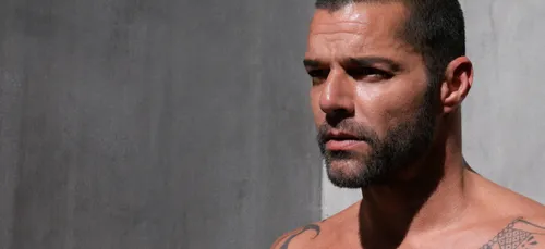 Ricky Martin et Sting en duo sur "Simple"