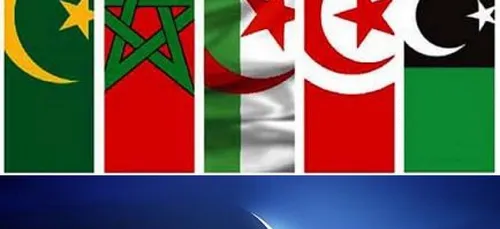 Sommet Inde-Afrique: la prÃ©sence de l'AlgÃ©rie est "indispensable"