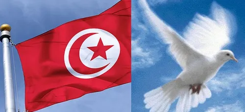 TUNISIE:Un avion de solidaritÃ© pour soutenir le tourisme en Tunisie