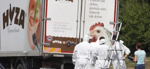 Plus de 70 corps de rÃ©fugiÃ©s retrouvÃ©s dans le camion abandonnÃ©...
