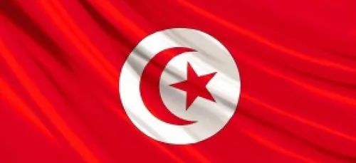 Tunisie: La stratÃ©gie nationale de lâ??immigration 2015-2020 fin...