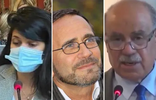 LE JOURNAL EN LANGUE FRANCAISE DE MIDI (31-03-21)