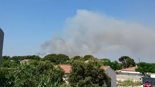 Istres : le feu a détruit 5 hectares