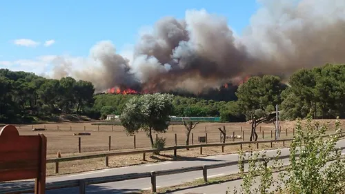 Martigues : un incendie dans le parc de Figuerolles a déjà parcouru...