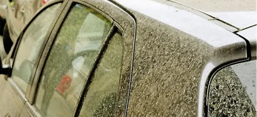 Chaleur, Sirocco, risque d'incendies... la semaine météo lourde