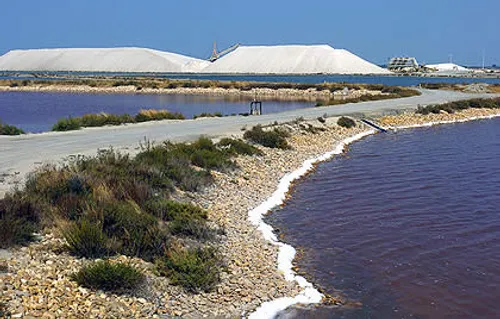 Martigues : des promeneurs découvrent un corps momifié dans du sel