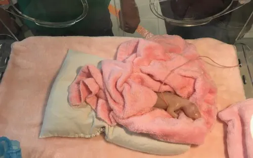 Beauval : la femelle panda Huan Huan a accouché