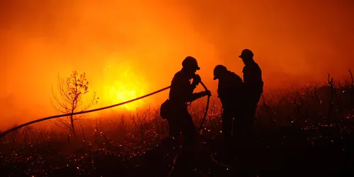 Incendies : une saison noire en Méditerranée
