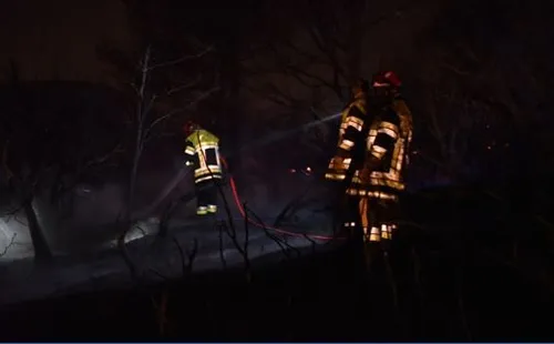 Saint-Savournin : les pompiers ont lutté cette nuit contre un feu...