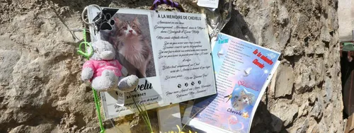 Draguignan : 6 mois de prison ferme pour avoir tué Chevelu