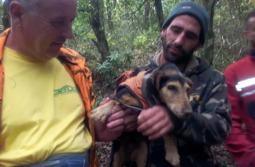 Pourcieux : un chien coincé dans une cavité depuis samedi enfin...
