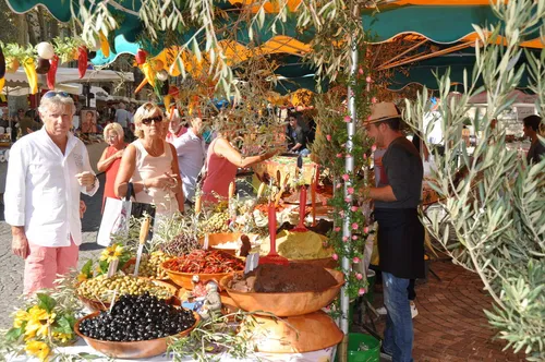 Ollioules : les oliviers à l'honneur ce week-end !