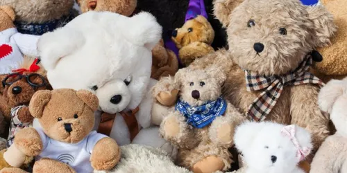 Collecte de jouets : c'est parti pour "Enfants sans Noël" sur les...