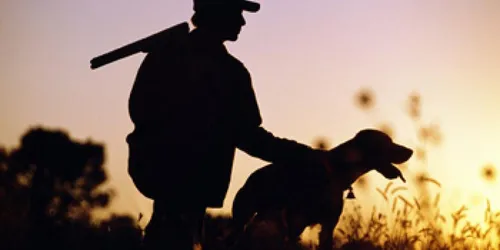 Russie : un chasseur tué par son chien