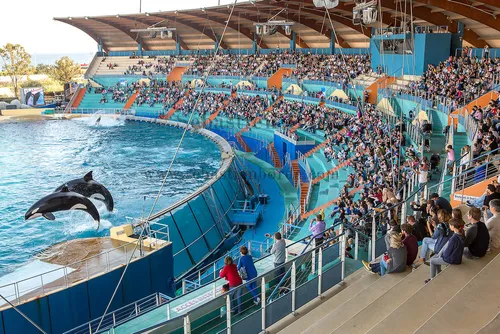 Antibes : Marineland garde ses dauphins, le Conseil d'Etat annule...