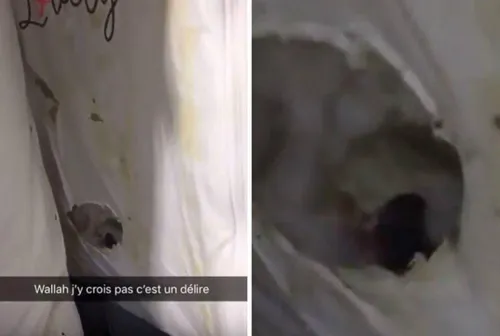 Carrefour : des souris dans des gigoteuses pour bébés