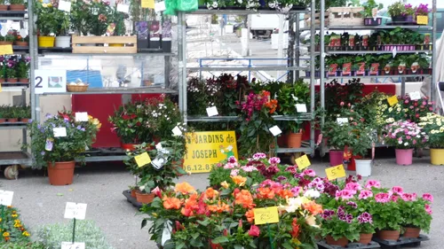 Port-de-Bouc : un marché aux plantes et fleurs pour fêter le...