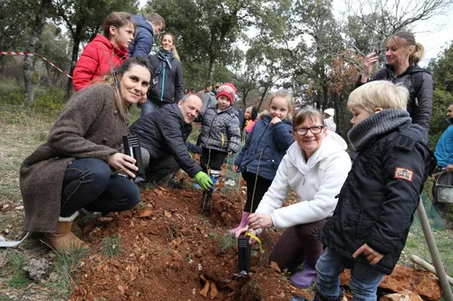 Seillons : opération reboisement pour les petits écoliers