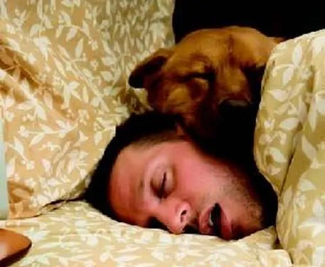 Les Français sont les meilleurs dormeurs !