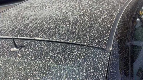 Le Sirocco attendu pour un week-end chaud et... sableux !