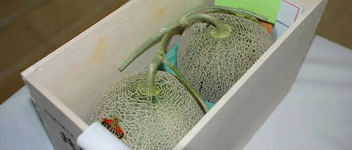 Japon : deux melons vendus pour 25 000 euros