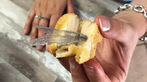 Un couple découvre du plastique dans des nuggets de la marque...
