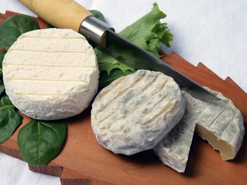 Risque de salmonellose : rappel de fromages "Pélardon"
