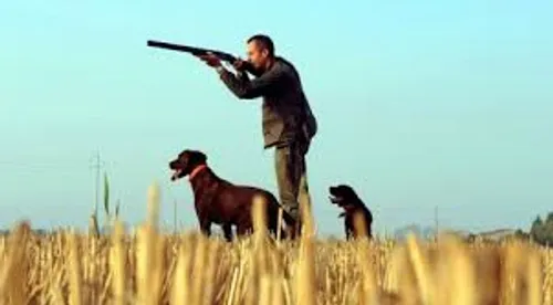 Le permis de chasse passe de 400 à 200 euros