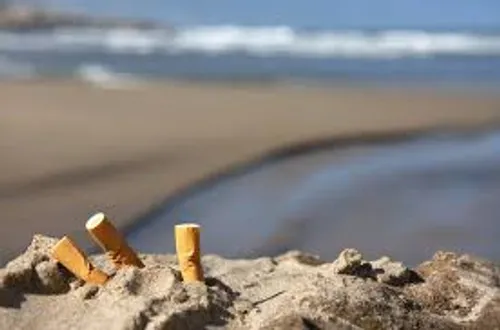 Les mégots de cigarettes, principale pollution des océans