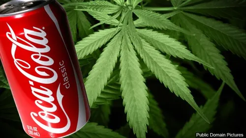 Coca-Cola envisage de créer une boisson au cannabis