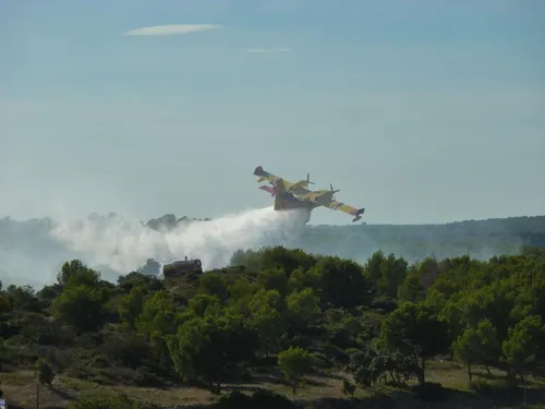 Plusieurs départs de feux à cause du fort vent