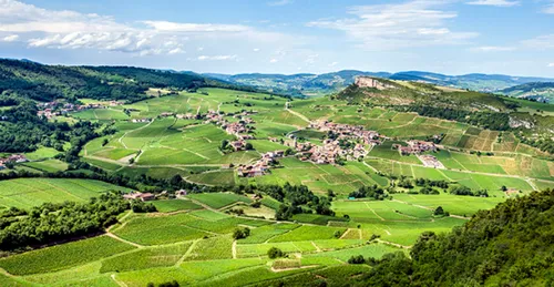Pour 81% des Français, vivre à la campagne serait le top !