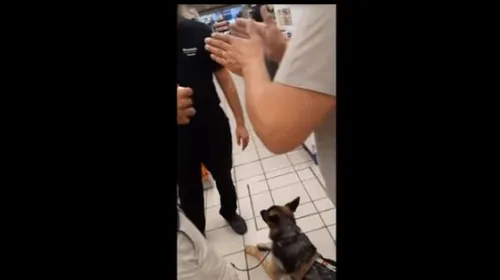 Marseille : un malvoyant et son chien expulsés d'un supermarché