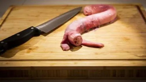 Asticots, estomacs, pénis de taureau... : un musée pour les...