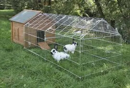 Un serial-killer de lapins terrorise la Bretagne