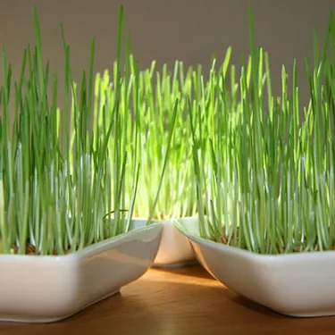 Demain, c'est la Sainte-Barbe !