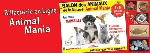 Marseille : ne manquez pas Animal Mania ce week-end !
